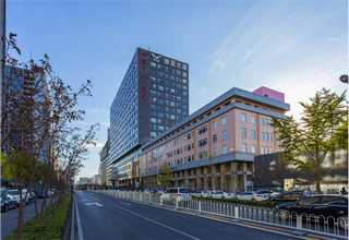 广州小熊公仔厂家排名